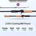 Fishing Rod Worm Master Fuji SIC Guide Ring Toray 33+40T Carbon Cloth 2.01M 2.03M Shore Throwing Salmon Fishing Rod